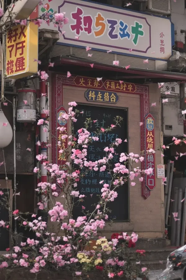 谁在说谎 竖版影视海报
