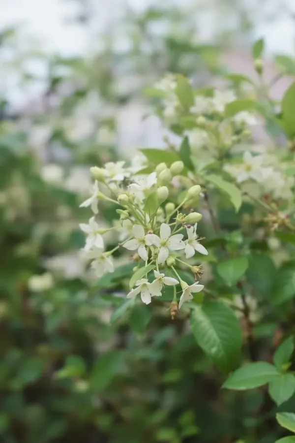 追风少年 竖版影视海报